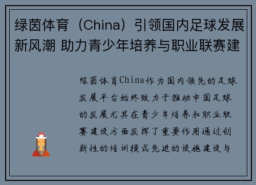 绿茵体育（China）引领国内足球发展新风潮 助力青少年培养与职业联赛建设